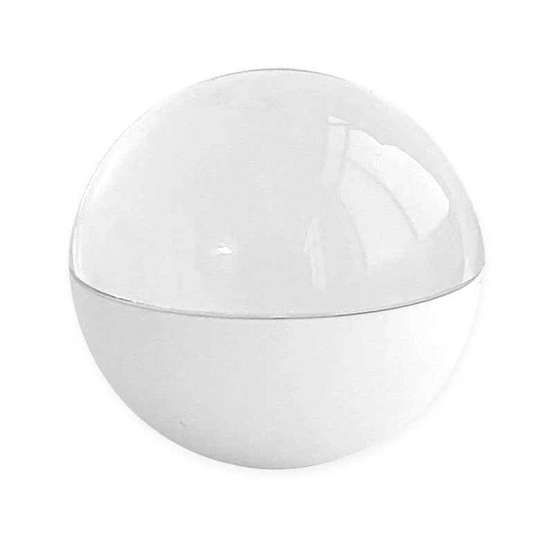 Memo™ Personalized Video Orb